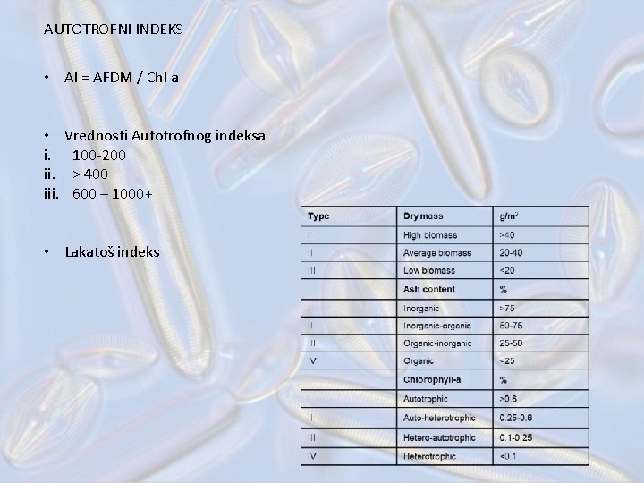 AUTOTROFNI INDEKS • AI = AFDM / Chl a • Vrednosti Autotrofnog indeksa i.