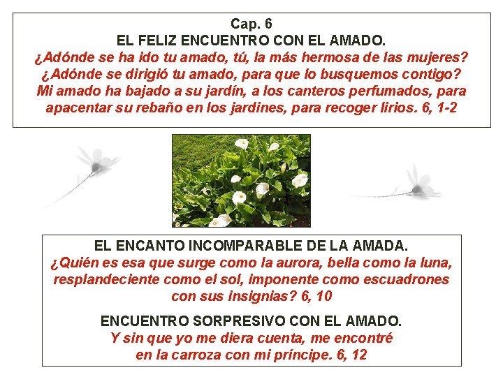 Cap. 6 EL FELIZ ENCUENTRO CON EL AMADO. ¿Adónde se ha ido tu amado,