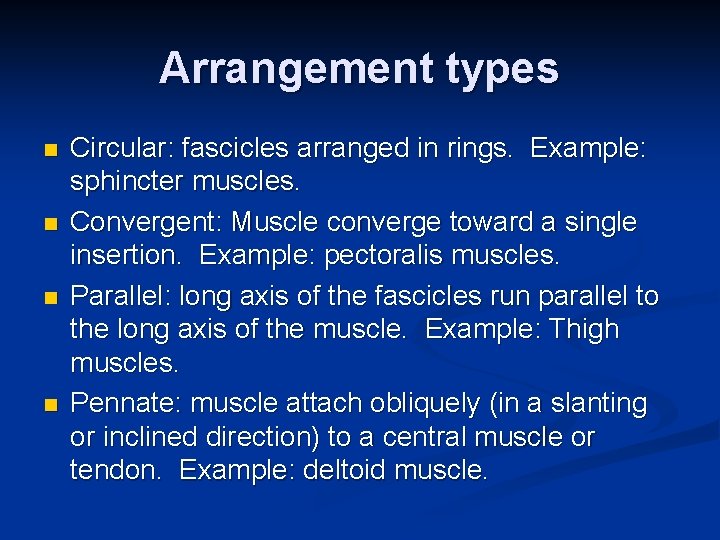 Arrangement types n n Circular: fascicles arranged in rings. Example: sphincter muscles. Convergent: Muscle