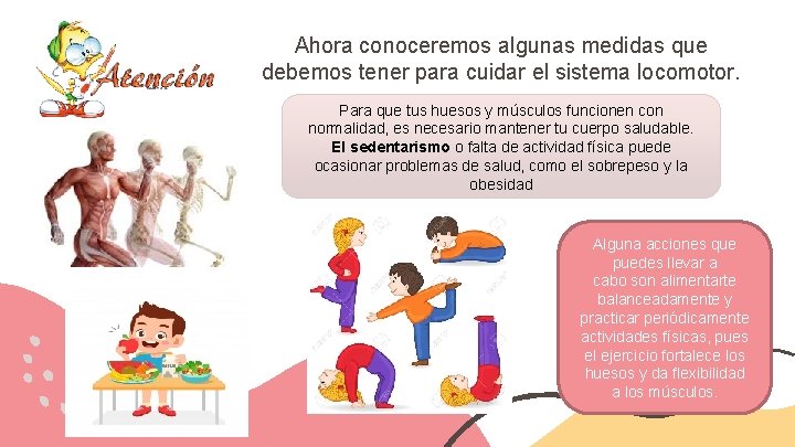 Medidas de cuidado del sistema locomotor 4 Basico