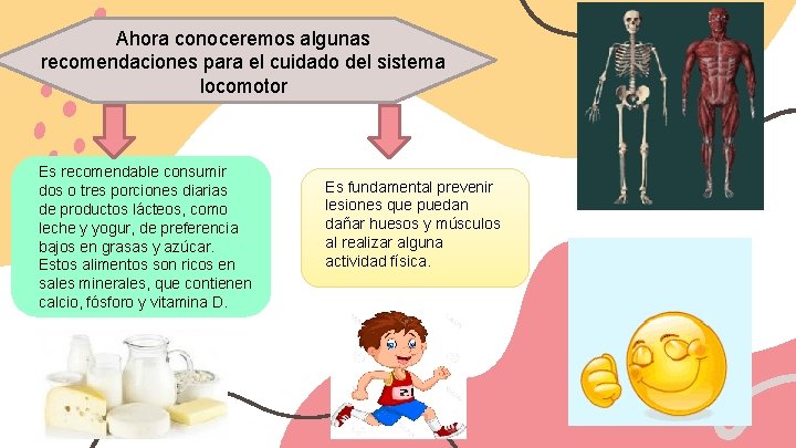 Medidas de cuidado del sistema locomotor 4 Basico