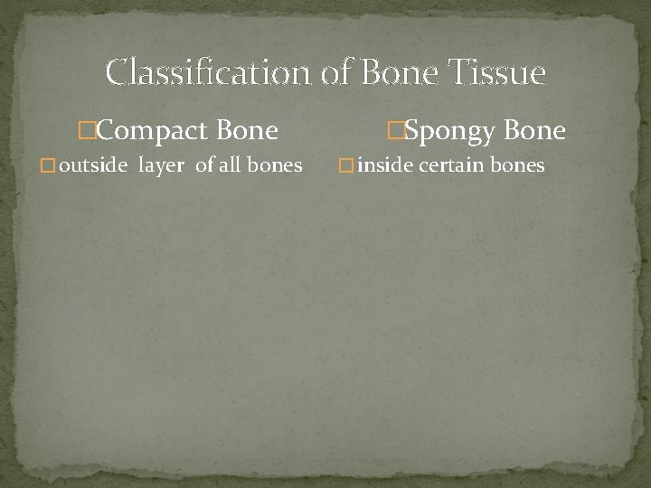 Classification of Bone Tissue �Compact Bone � outside layer of all bones �Spongy Bone Classification of Bone Tissue �Compact Bone � outside layer of all bones �Spongy Bone