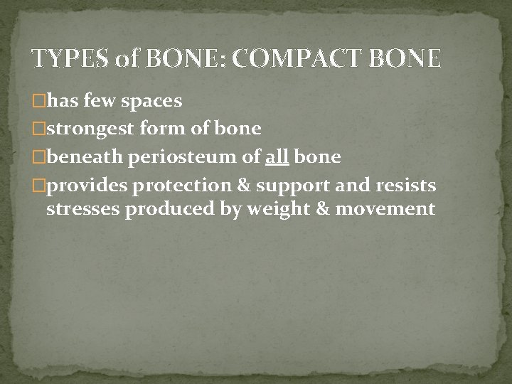 TYPES of BONE: COMPACT BONE �has few spaces �strongest form of bone �beneath periosteum TYPES of BONE: COMPACT BONE �has few spaces �strongest form of bone �beneath periosteum