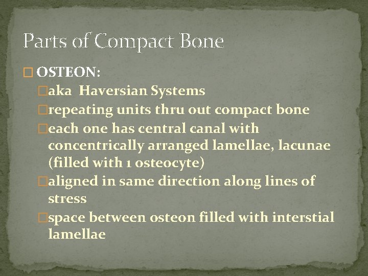 Parts of Compact Bone � OSTEON: �aka Haversian Systems �repeating units thru out compact Parts of Compact Bone � OSTEON: �aka Haversian Systems �repeating units thru out compact