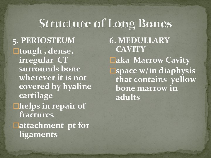 Structure of Long Bones 5. PERIOSTEUM �tough , dense, irregular CT surrounds bone wherever Structure of Long Bones 5. PERIOSTEUM �tough , dense, irregular CT surrounds bone wherever