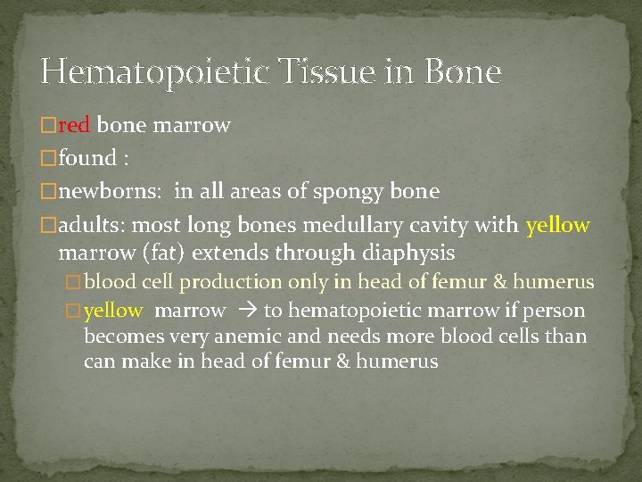 Hematopoietic Tissue in Bone �red bone marrow �found : �newborns: in all areas of Hematopoietic Tissue in Bone �red bone marrow �found : �newborns: in all areas of