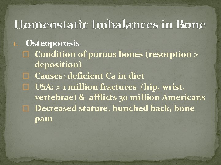 Homeostatic Imbalances in Bone 1. Osteoporosis � Condition of porous bones (resorption > deposition) Homeostatic Imbalances in Bone 1. Osteoporosis � Condition of porous bones (resorption > deposition)