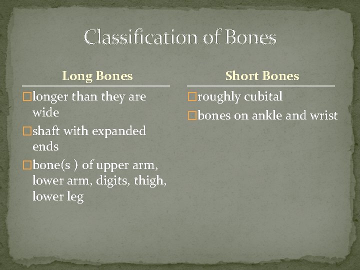 Classification of Bones Long Bones �longer than they are wide �shaft with expanded ends Classification of Bones Long Bones �longer than they are wide �shaft with expanded ends