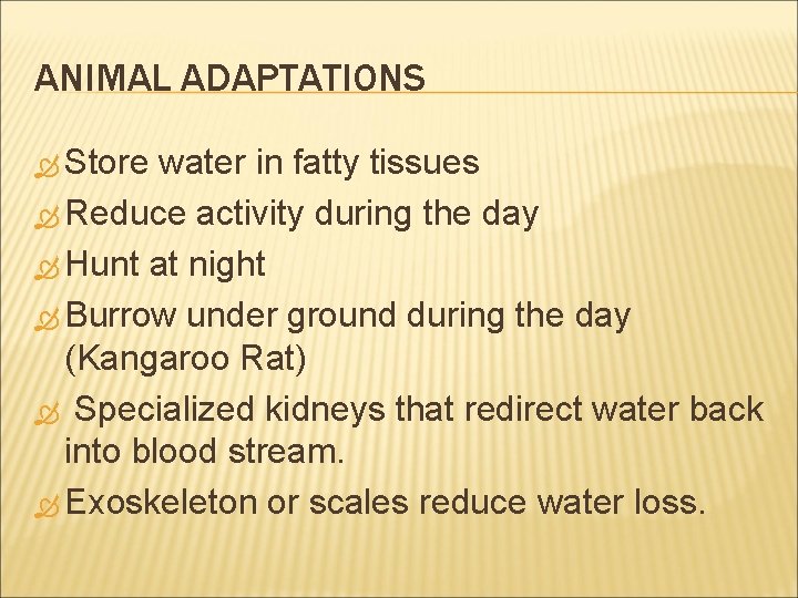 ANIMAL ADAPTATIONS Store water in fatty tissues Reduce activity during the day Hunt at