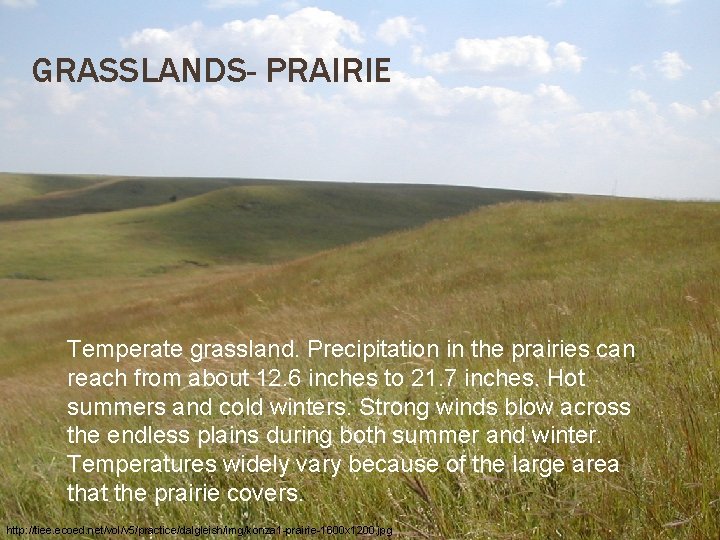 GRASSLANDS- PRAIRIE Temperate grassland. Precipitation in the prairies can reach from about 12. 6