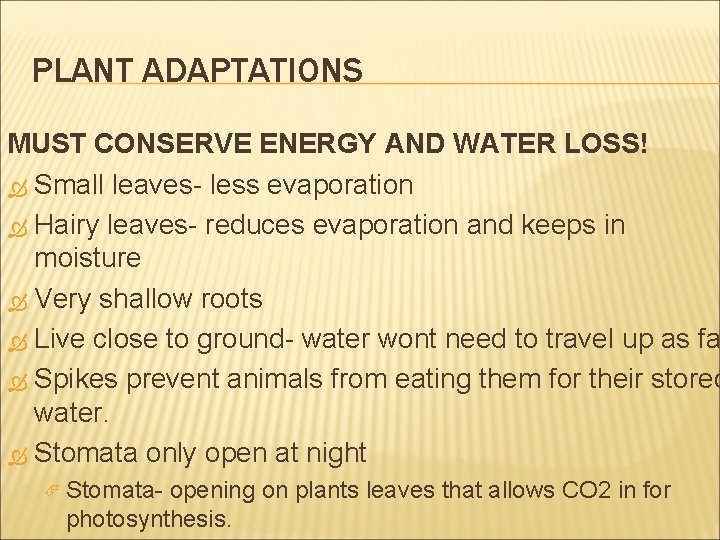 PLANT ADAPTATIONS MUST CONSERVE ENERGY AND WATER LOSS! Small leaves- less evaporation Hairy leaves-