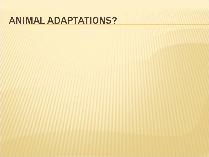 ANIMAL ADAPTATIONS? 