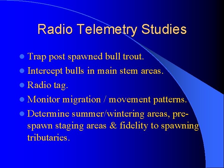 Radio Telemetry Studies l Trap post spawned bull trout. l Intercept bulls in main