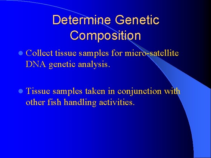 Determine Genetic Composition l Collect tissue samples for micro-satellite DNA genetic analysis. l Tissue
