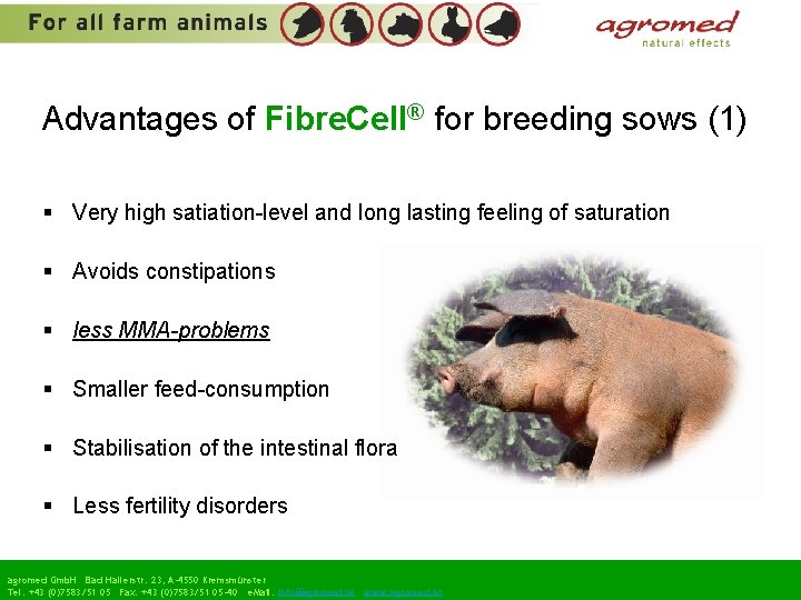 Advantages of Fibre. Cell® for breeding sows (1) § Very high satiation-level and long