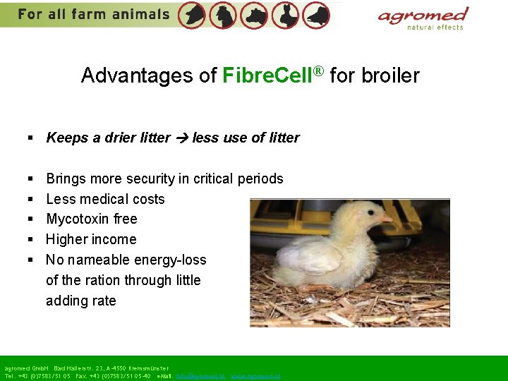 Advantages of Fibre. Cell® for broiler § Keeps a drier litter less use of