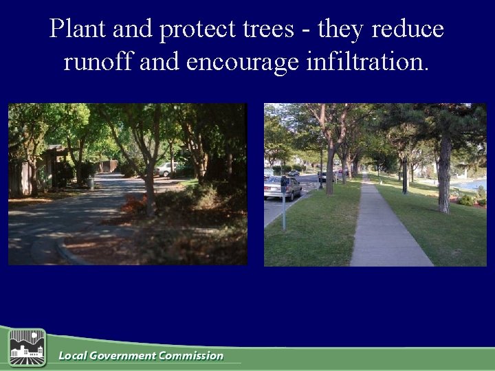 Plant and protect trees - they reduce runoff and encourage infiltration. 
