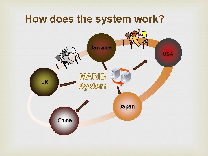 How does the system work? Jamaica USA MARID System UK Japan China 