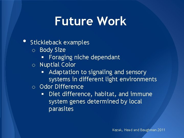 Future Work • Stickleback examples o Body Size § Foraging niche dependant o Nuptial