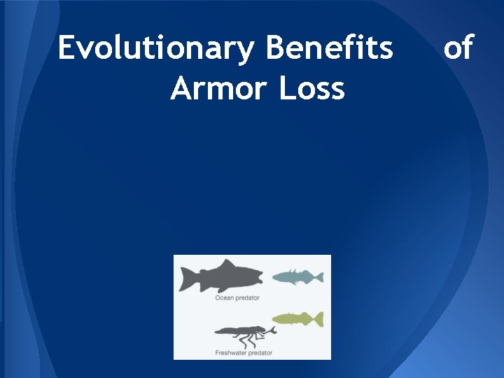 Evolutionary Benefits Armor Loss of 