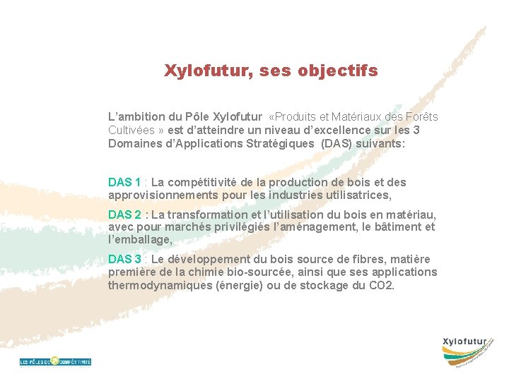 Xylofutur, ses objectifs L’ambition du Pôle Xylofutur «Produits et Matériaux des Forêts Cultivées »