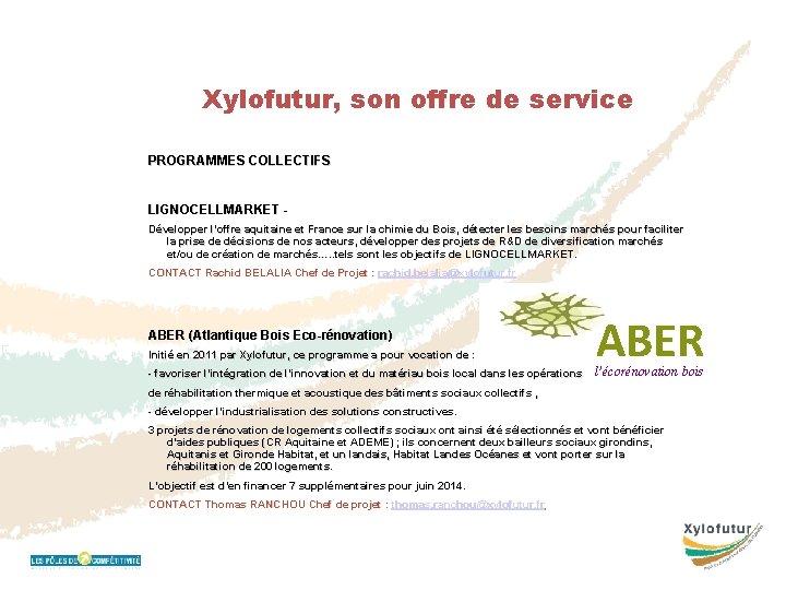 Xylofutur, son offre de service PROGRAMMES COLLECTIFS LIGNOCELLMARKET Développer l’offre aquitaine et France sur