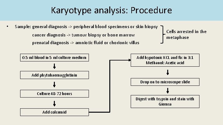 Karyotype analysis: Procedure • Sample: general diagnosis -> peripheral blood specimens or skin biopsy