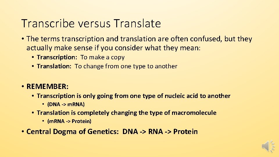 Transcribe versus Translate • The terms transcription and translation are often confused, but they