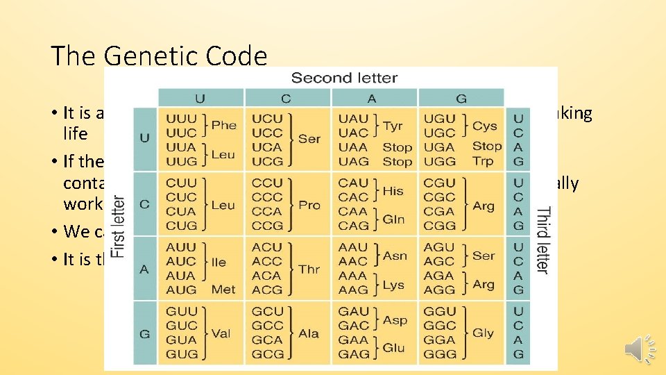 The Genetic Code • It is almost as if a cell is “pre-programmed” with