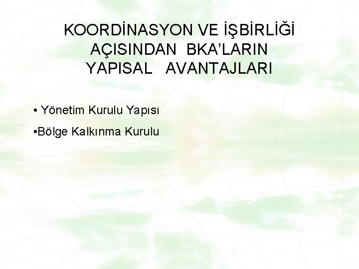 KOORDİNASYON VE İŞBİRLİĞİ AÇISINDAN BKA’LARIN YAPISAL AVANTAJLARI • Yönetim Kurulu Yapısı • Bölge Kalkınma