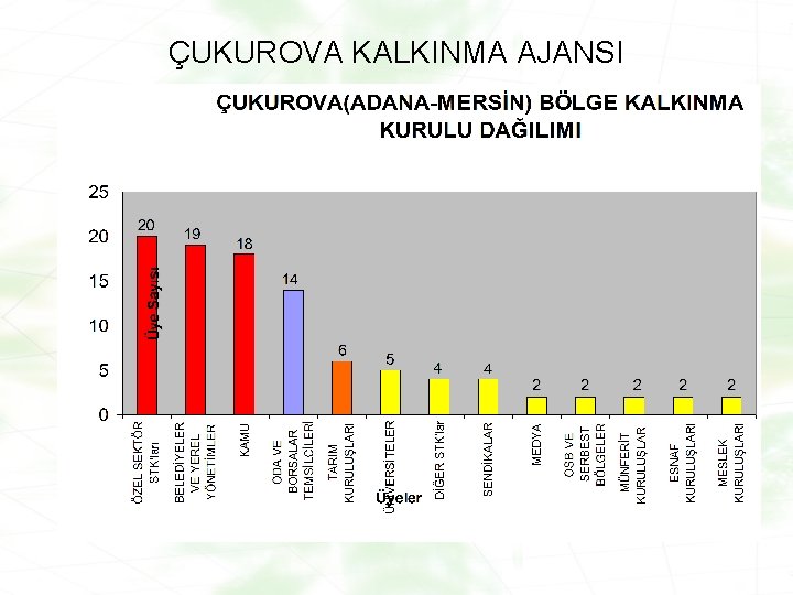 ÇUKUROVA KALKINMA AJANSI 