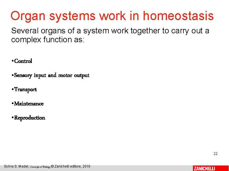 Organ systems work in homeostasis Several organs of a system work together to carry