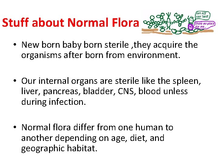 Stuff about Normal Flora • New born baby born sterile , they acquire the