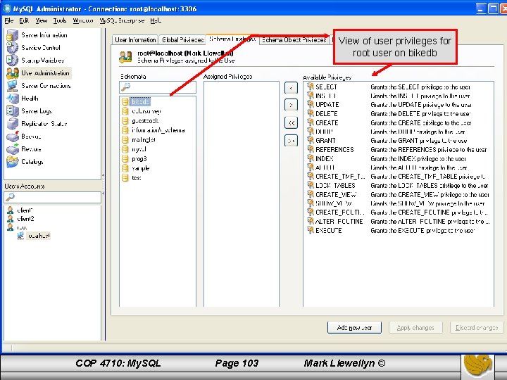 View of user privileges for root user on bikedb COP 4710: My. SQL Page