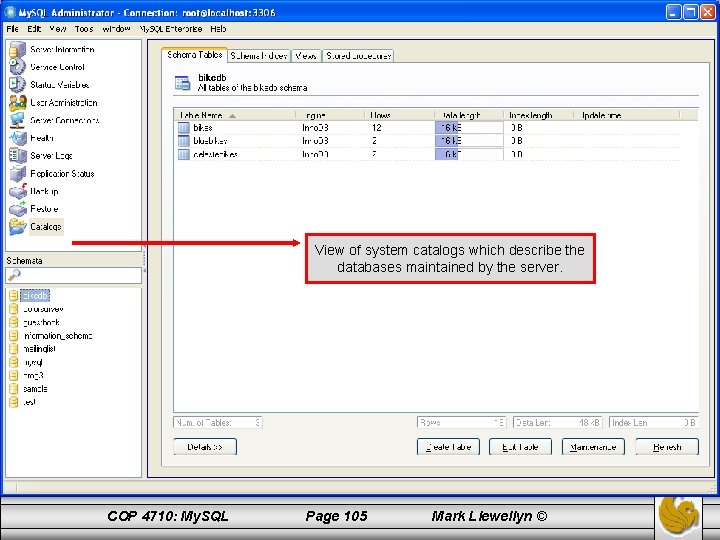 View of system catalogs which describe the databases maintained by the server. COP 4710: