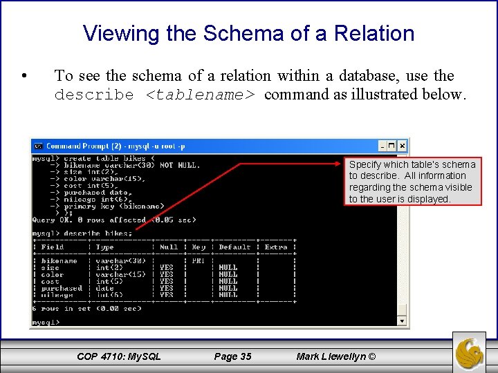 Viewing the Schema of a Relation • To see the schema of a relation