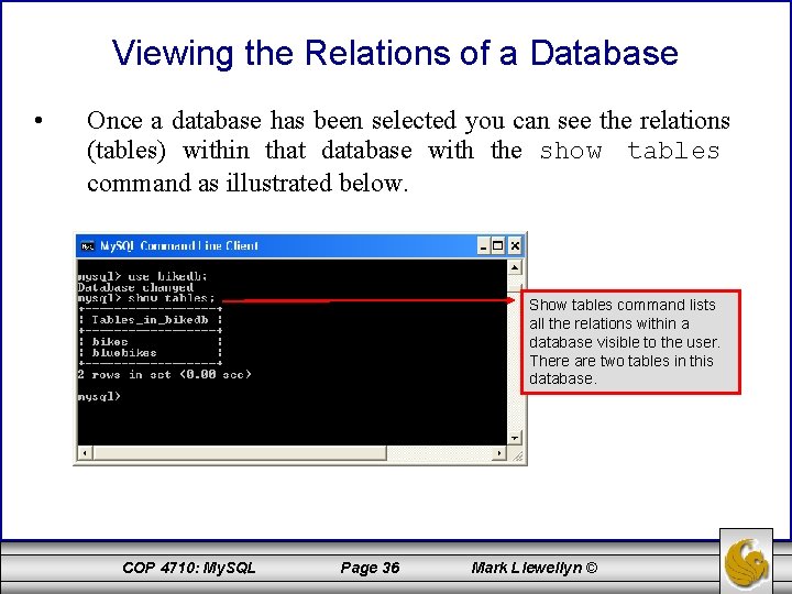 Viewing the Relations of a Database • Once a database has been selected you