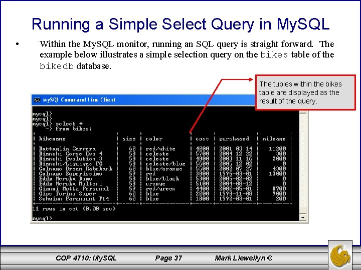 Running a Simple Select Query in My. SQL • Within the My. SQL monitor,