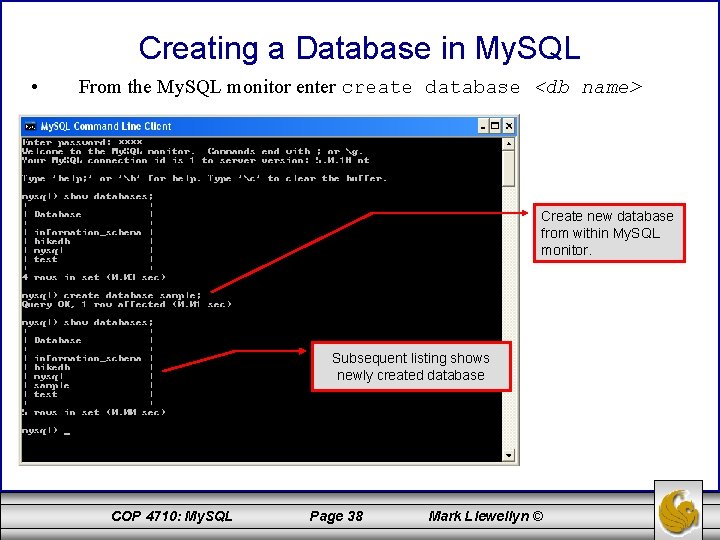 Creating a Database in My. SQL • From the My. SQL monitor enter create