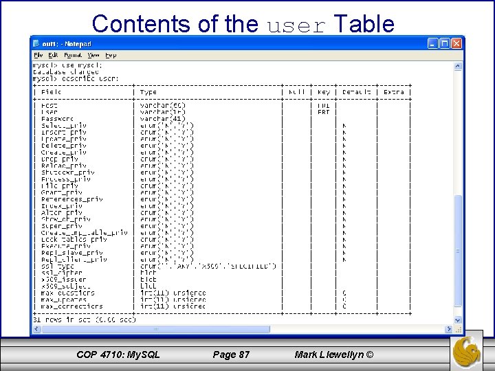 Contents of the user Table COP 4710: My. SQL Page 87 Mark Llewellyn ©