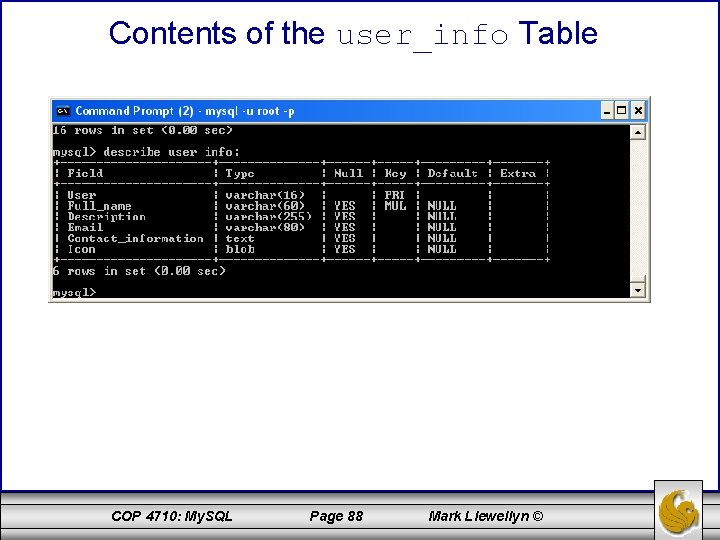 Contents of the user_info Table COP 4710: My. SQL Page 88 Mark Llewellyn ©