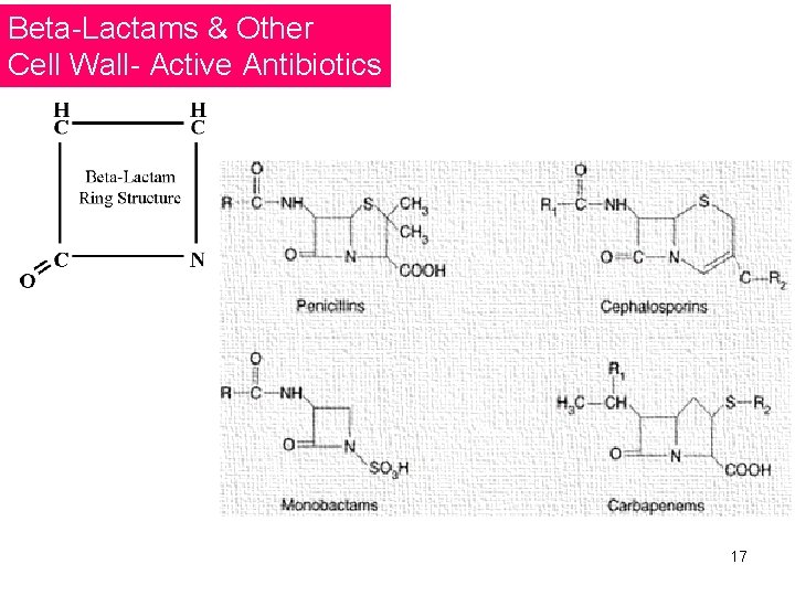 Beta-Lactams & Other Cell Wall- Active Antibiotics 17 