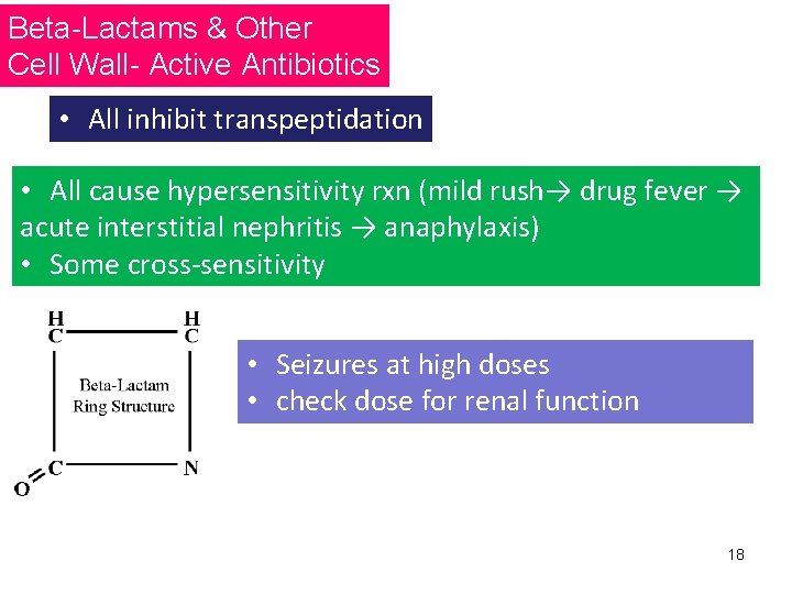 Beta-Lactams & Other Cell Wall- Active Antibiotics • All inhibit transpeptidation • All cause