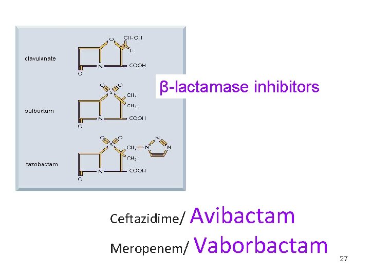 β-lactamase inhibitors Avibactam Meropenem/ Vaborbactam Ceftazidime/ 27 