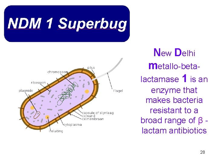 New Delhi metallo-betalactamase 1 is an enzyme that makes bacteria resistant to a broad
