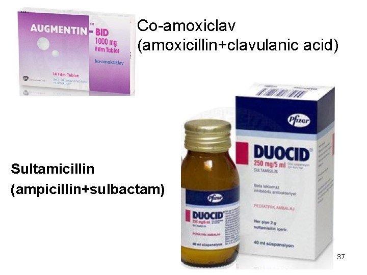 Co-amoxiclav (amoxicillin+clavulanic acid) Sultamicillin (ampicillin+sulbactam) 37 