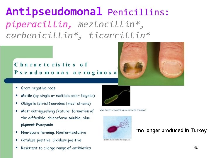 Antipseudomonal Penicillins: piperacillin, mezlocillin*, carbenicillin*, ticarcillin* *no longer produced in Turkey 45 