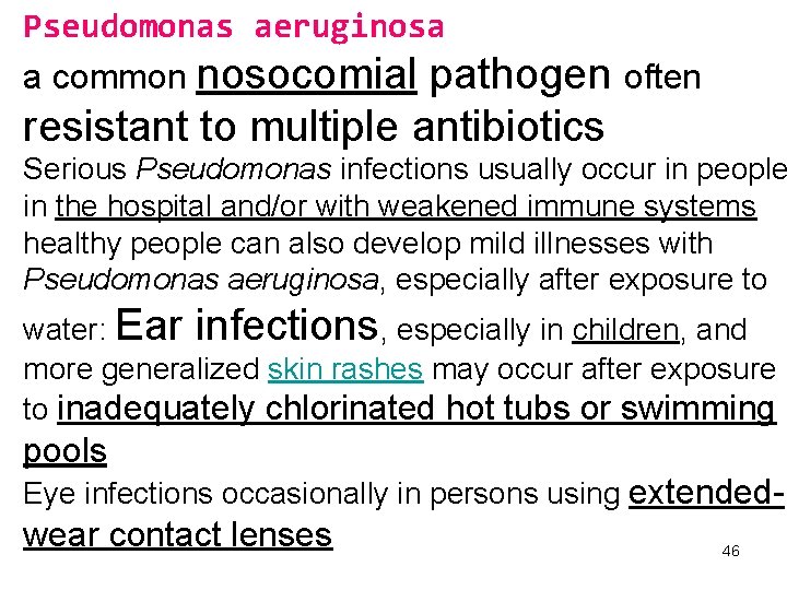 Pseudomonas aeruginosa a common nosocomial pathogen often resistant to multiple antibiotics Serious Pseudomonas infections