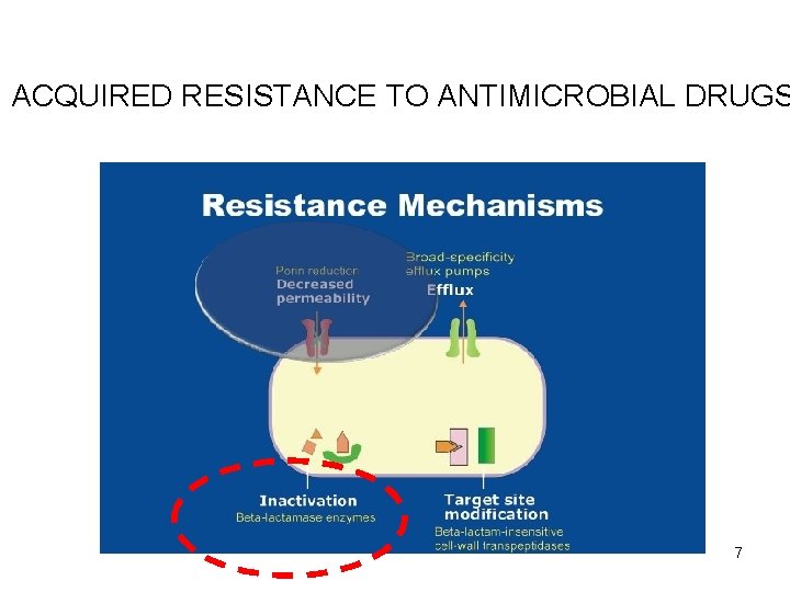 ACQUIRED RESISTANCE TO ANTIMICROBIAL DRUGS 7 