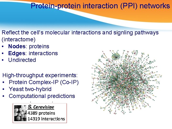 Protein-protein interaction (PPI) networks Reflect the cell’s molecular interactions and signling pathways (interactome) •